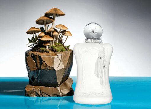 valaya perfume